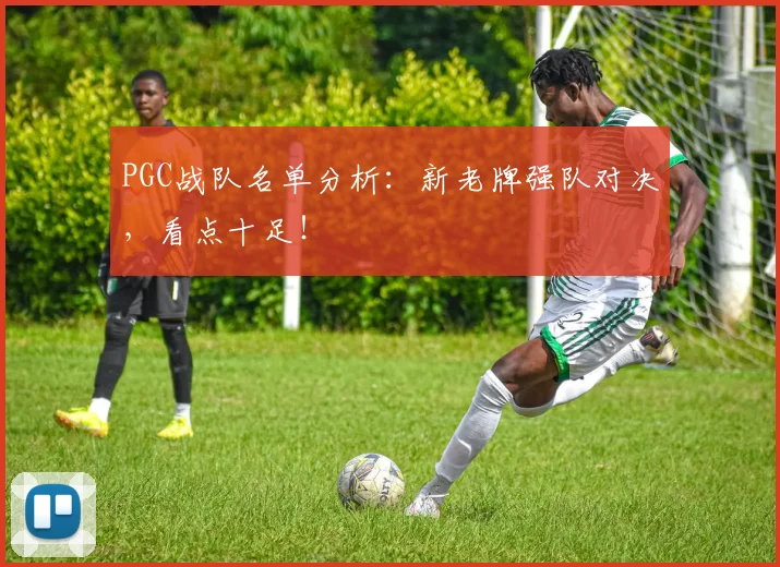 PGC战队名单分析：新老牌强队对决，看点十足！
